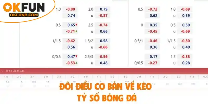 ĐÔI ĐIỀU CƠ BẢN VỀ KÈO TỶ SỐ BÓNG ĐÁ