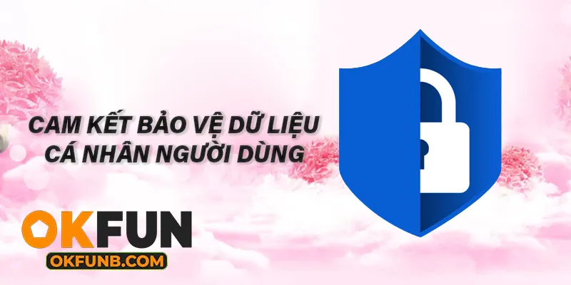 CAM KẾT BẢO VỆ DƯ LIỆU CÁ NHÂN NGƯỜI DÙNG